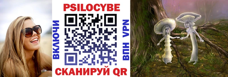 Псилоцибиновые грибы Psilocybine cubensis  кракен как зайти  Алзамай 