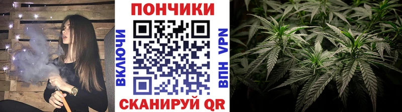 Бошки марихуана VHQ  Алзамай 